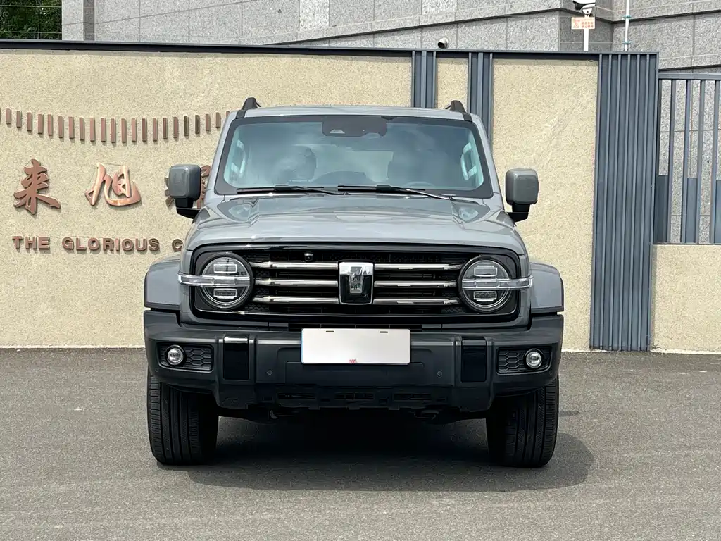 Tank 300 2.0T Cross