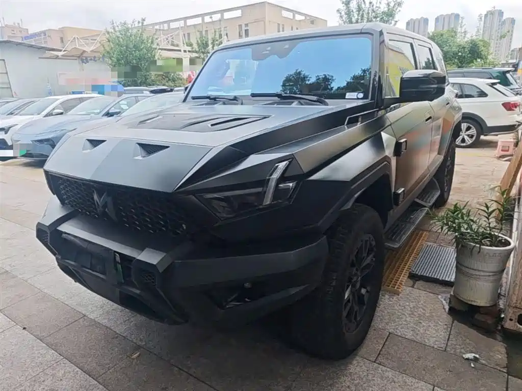 Mengshi Mengshi 917 2024