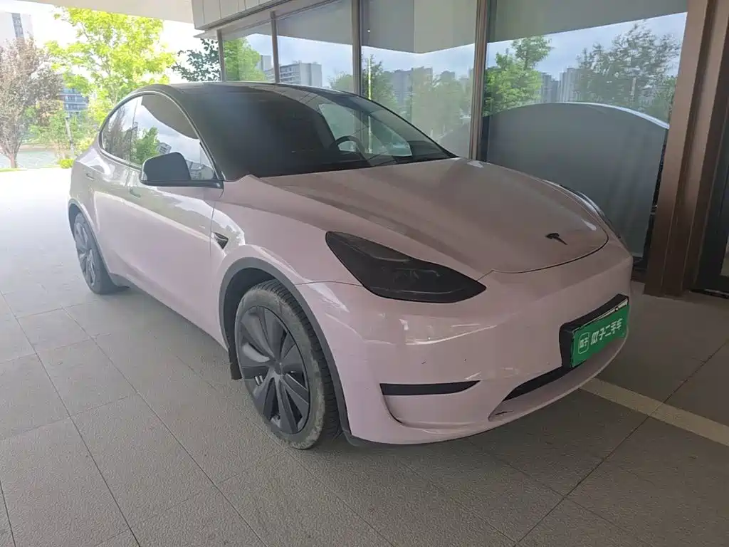 Tesla Model Y — миниатюра 4