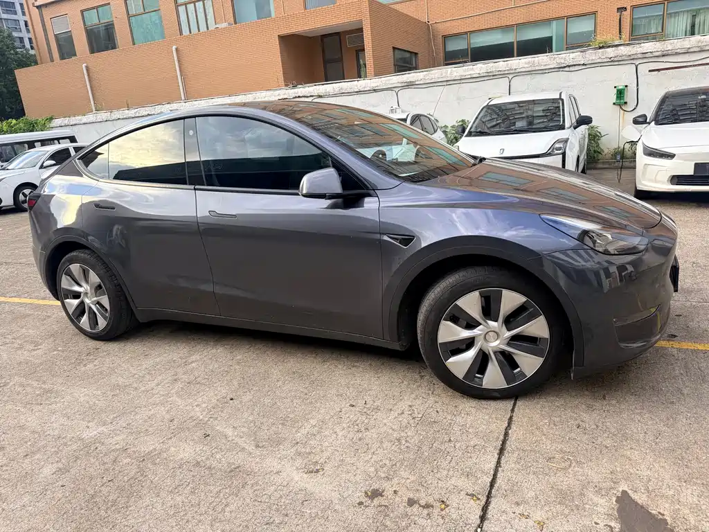 Tesla Model Y — миниатюра 7