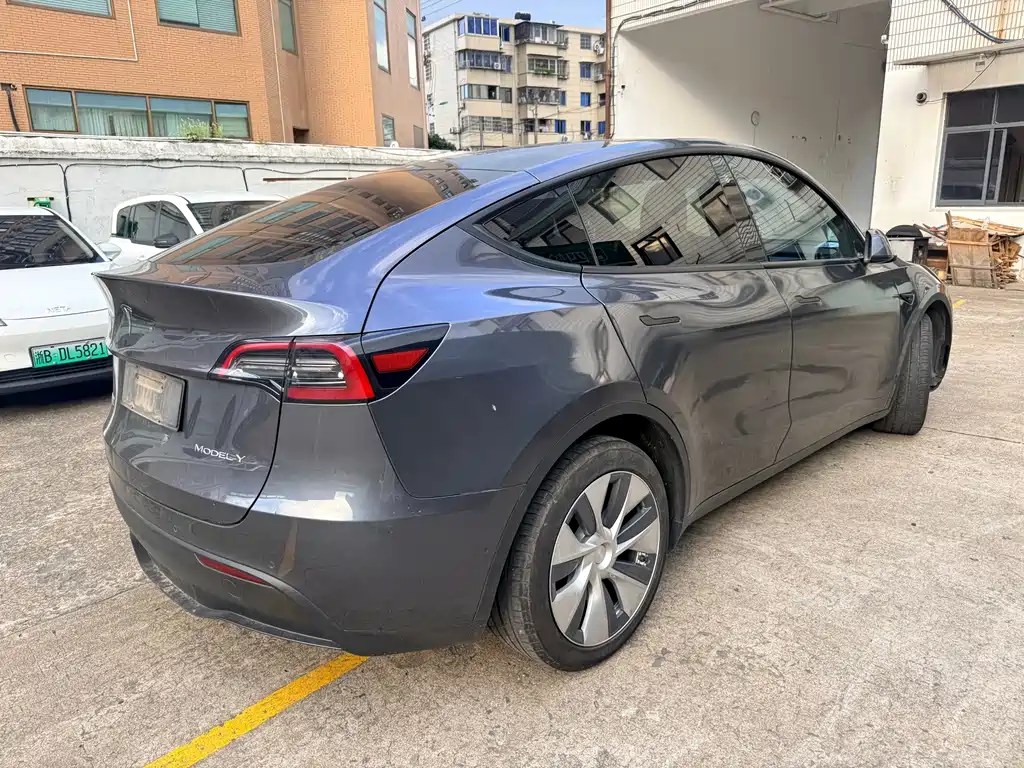 Tesla Model Y — миниатюра 8