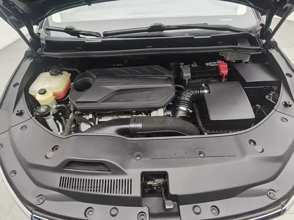 BYD MAX — миниатюра 6
