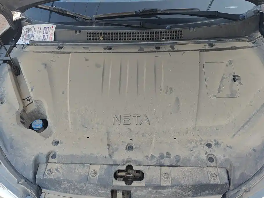 Neta Neta V — миниатюра 10