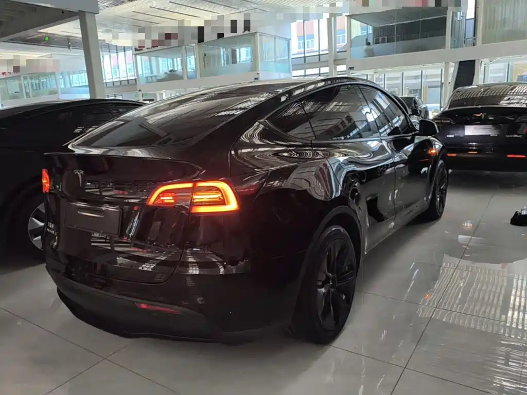 Tesla Model Y — миниатюра 7