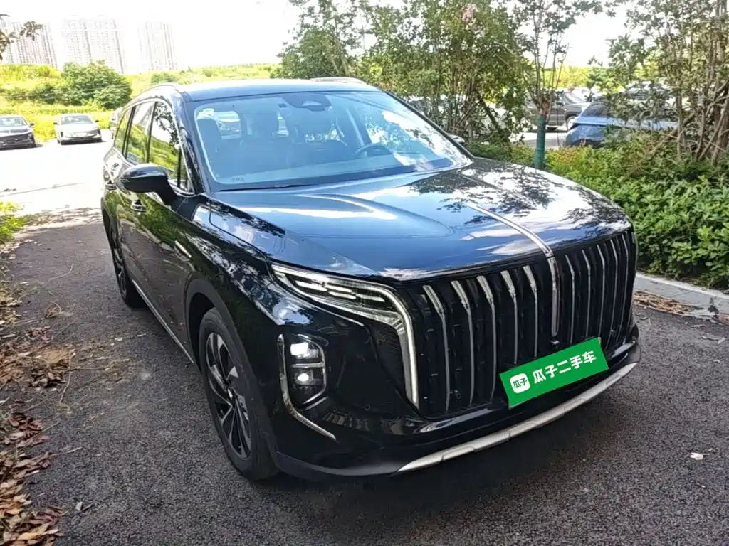 Hongqi Hongqi HS7 PHEV — миниатюра 4