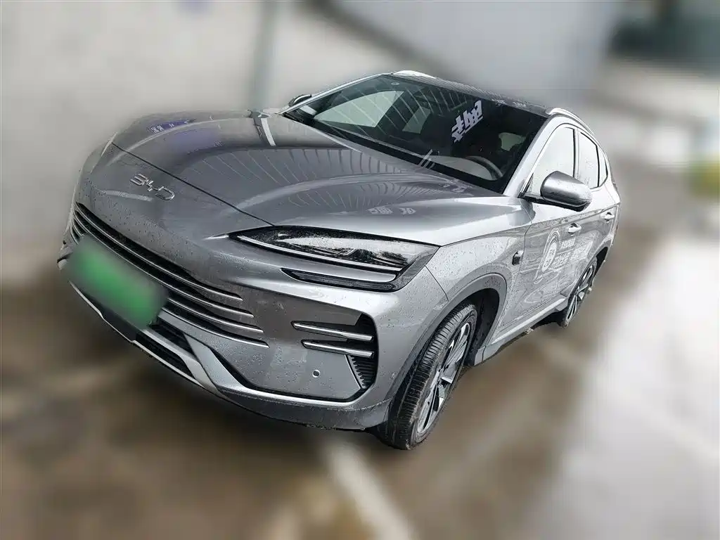 BYD PLUS New Energy 2025