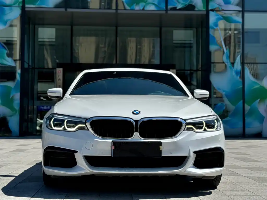 BMW 5 Series — миниатюра 2