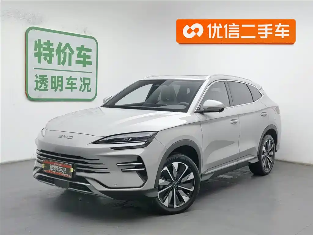BYD PLUS New Energy 2024