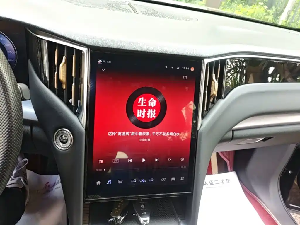 Hongqi Hongqi HS7 PHEV — миниатюра 13