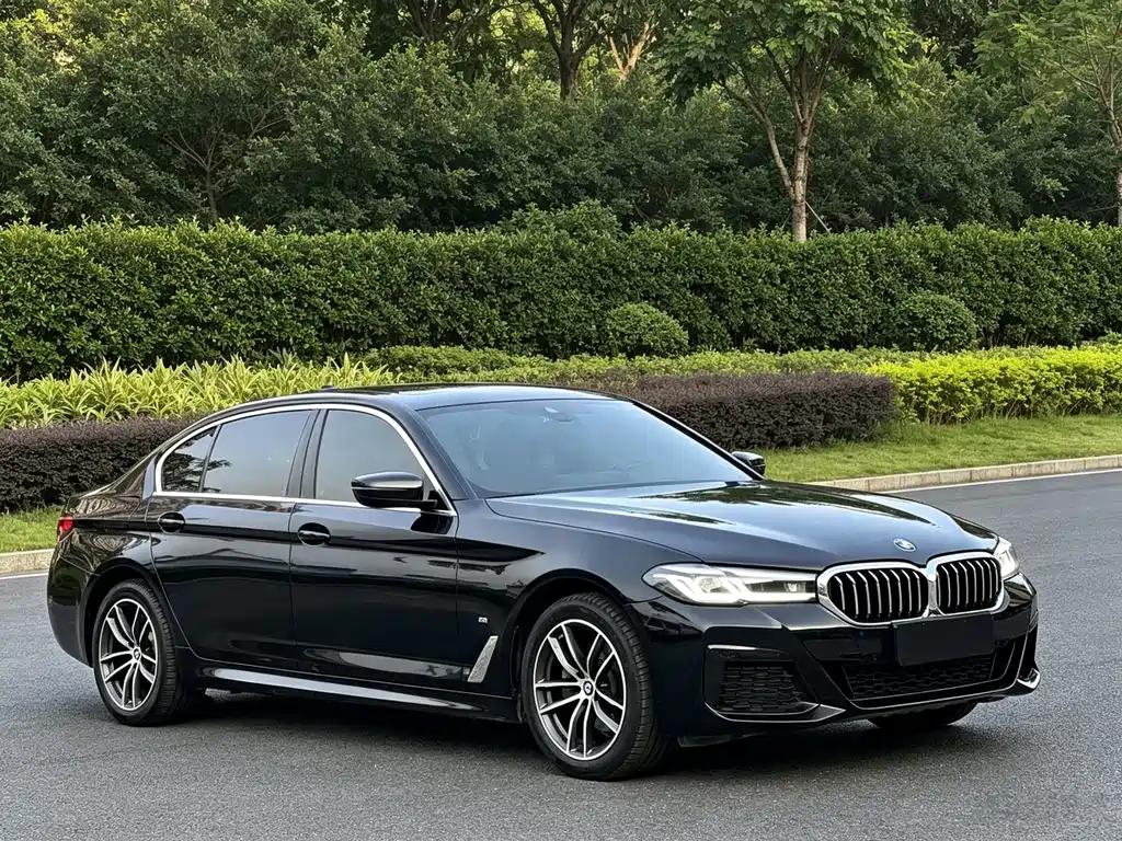 BMW 5 Series — миниатюра 3