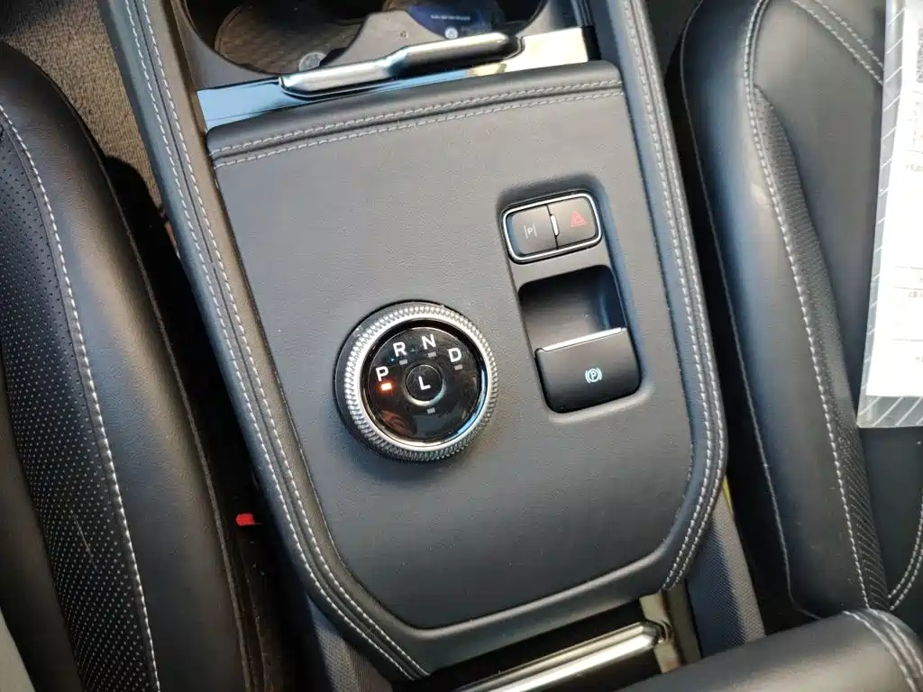 Ford Mustang Mach-E — миниатюра 10
