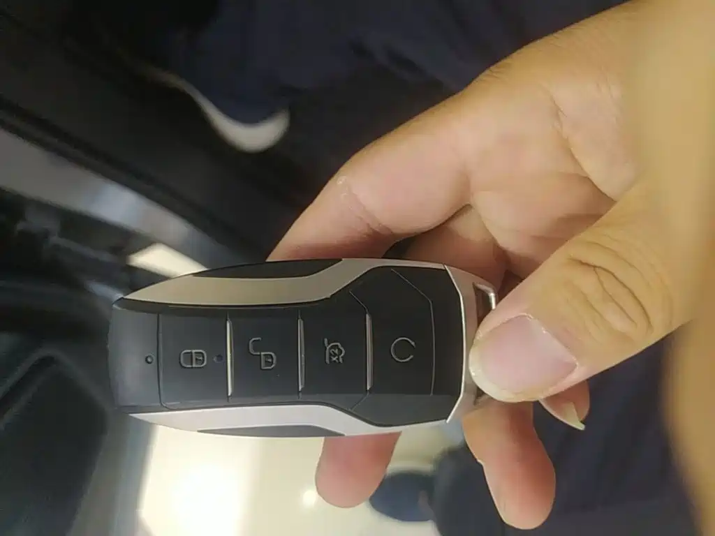 BYD PLUS — миниатюра 9