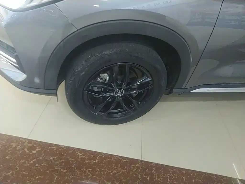 BYD PLUS — миниатюра 23