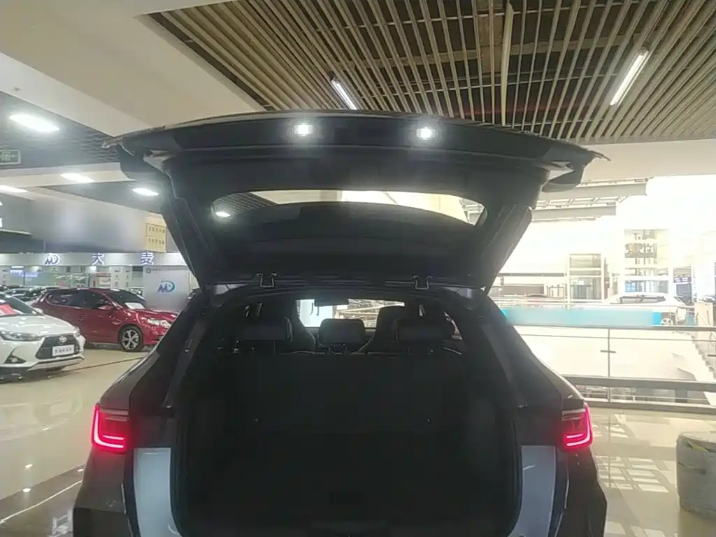 BYD PLUS — миниатюра 19