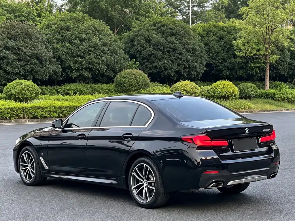 BMW 5 Series — миниатюра 16
