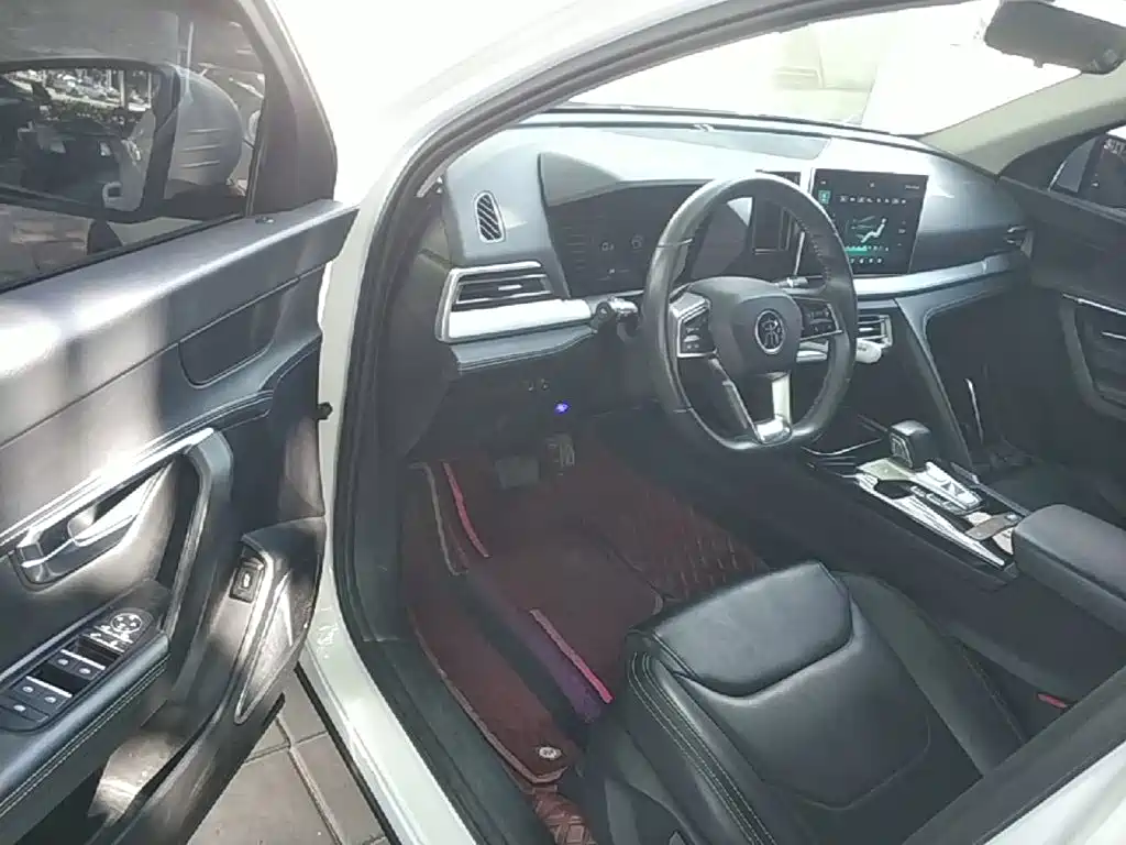 BYD Pro — миниатюра 16