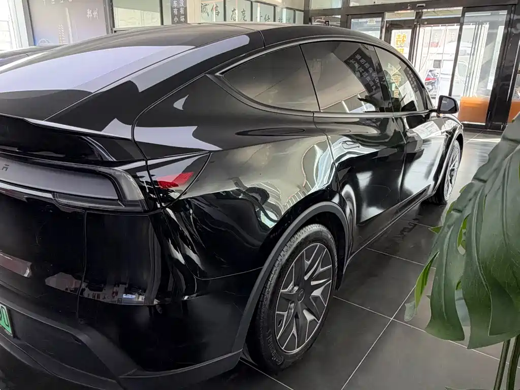 Tesla Model Y L — миниатюра 10