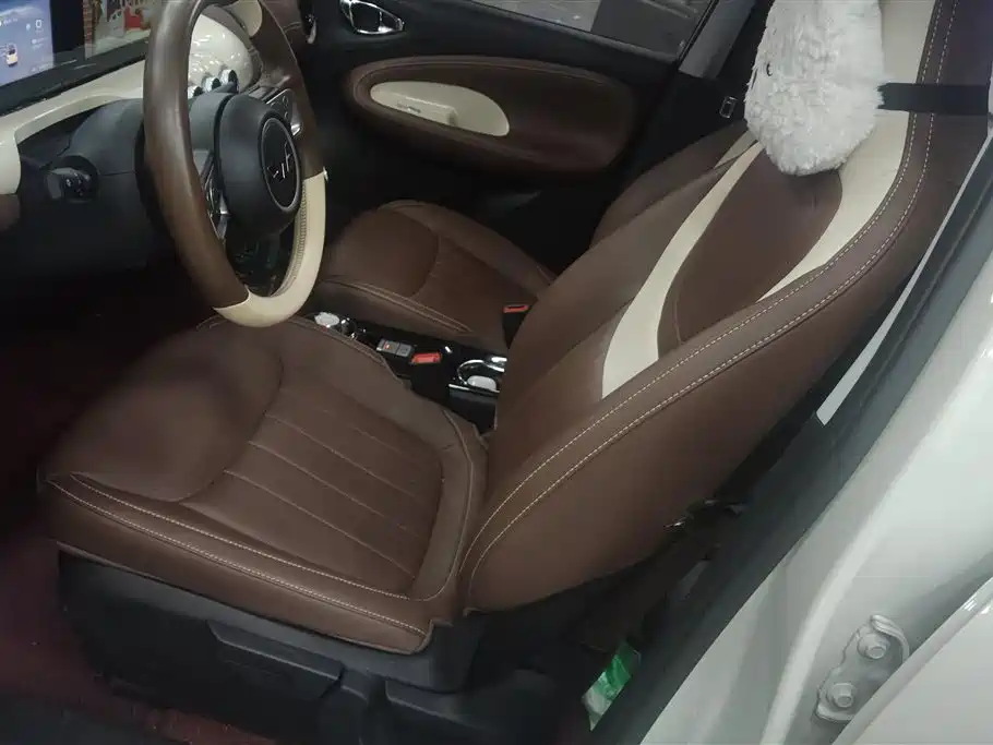 Wuling Binguo 2024 333km Enjoy