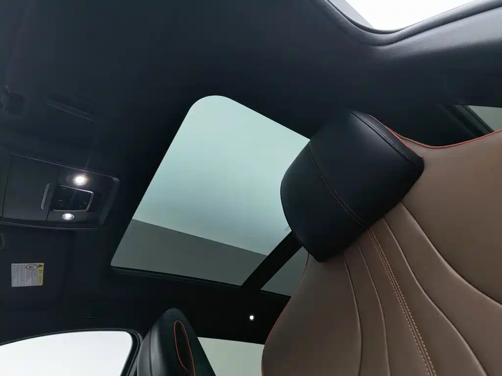 BYD PLUS — миниатюра 14