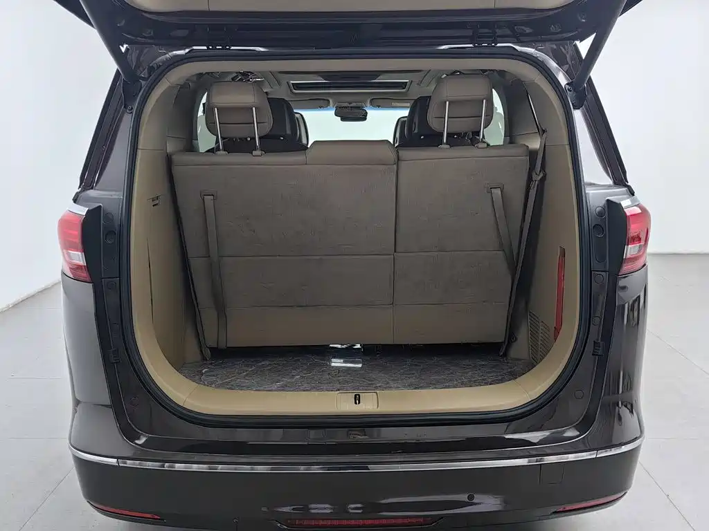 Buick GL8 — миниатюра 16