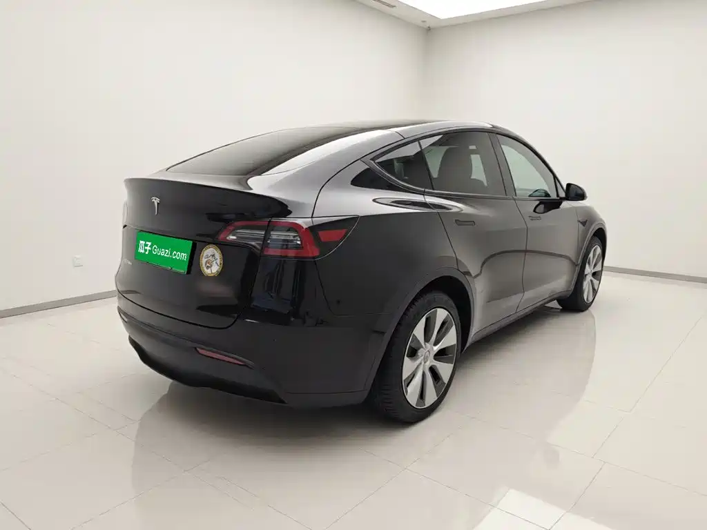Tesla Model Y — миниатюра 6
