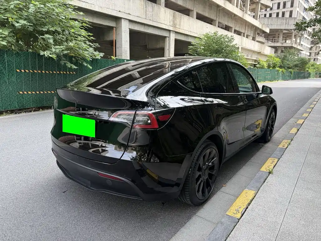 Tesla Model Y — миниатюра 7