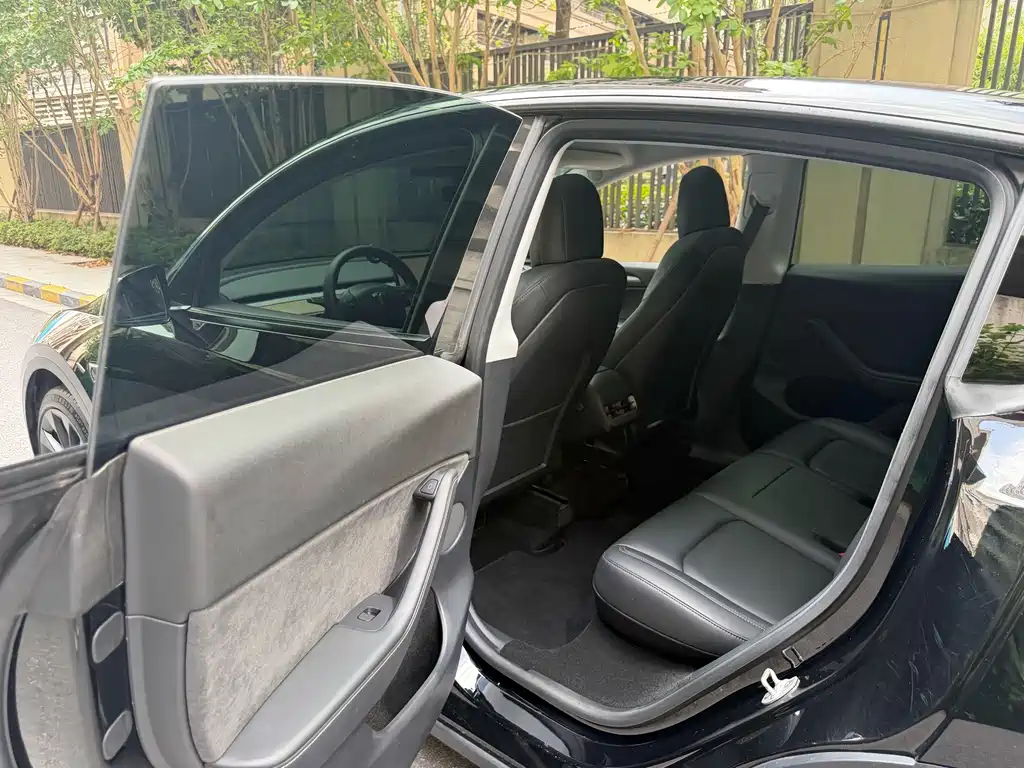 Tesla Model Y — миниатюра 10