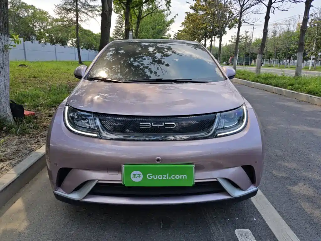 BYD Dolphin — миниатюра 3