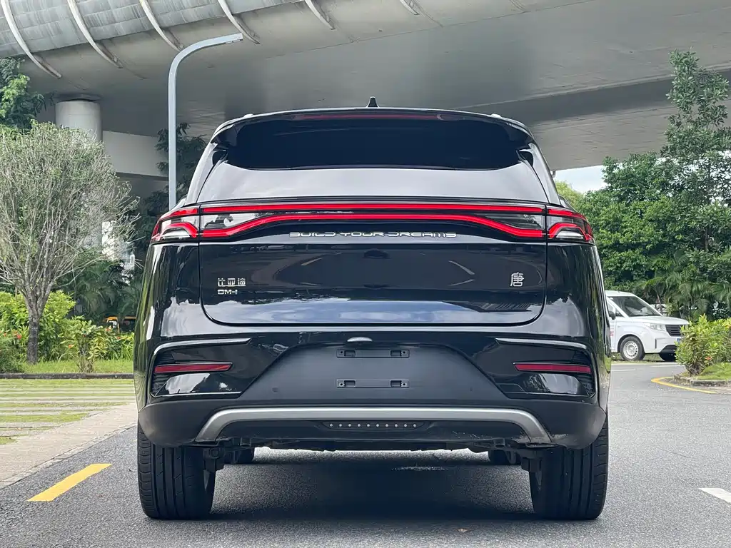 BYD Tang New Energy — миниатюра 6