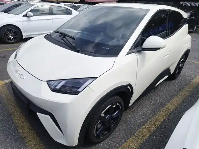 2024 BYD Seagull