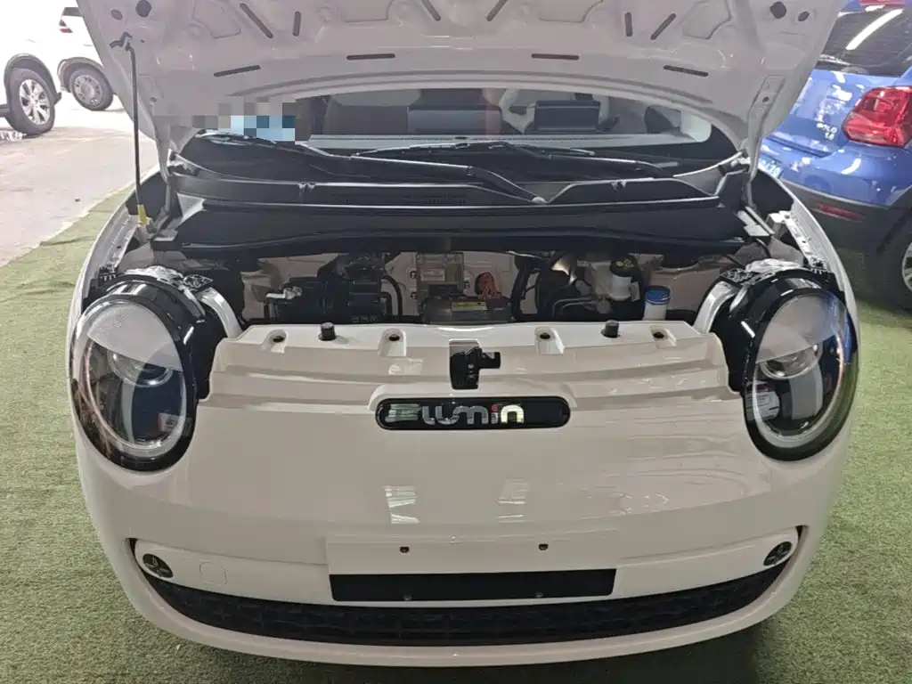 Qiyuan Lumin — миниатюра 16