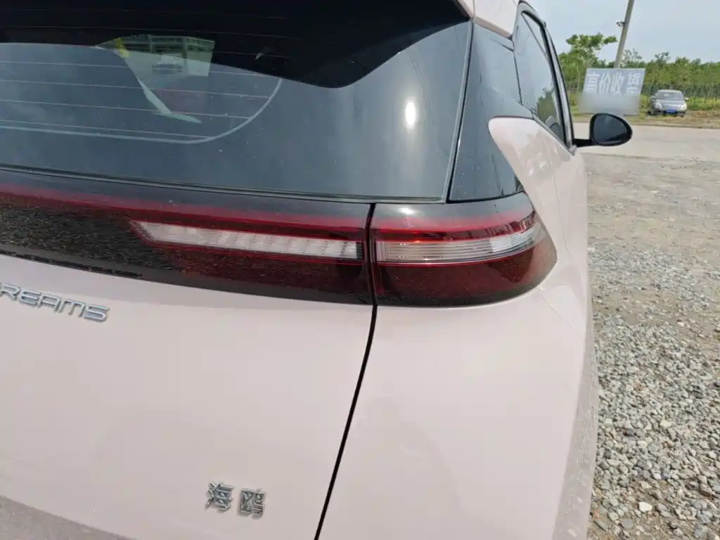 BYD Seagull 2024 305km