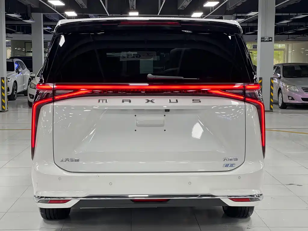 Maxus Dajia 9 — миниатюра 14