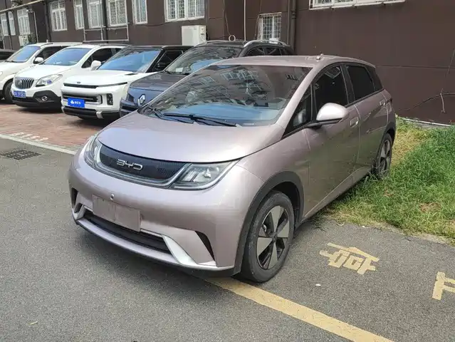 2023 BYD Dolphin