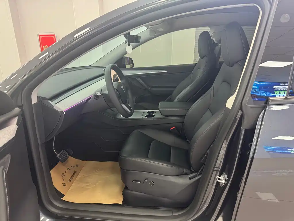 Tesla Model Y — миниатюра 8