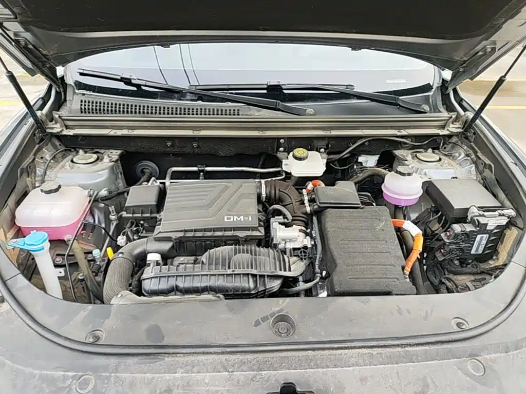 BYD Pro New Energy — миниатюра 20