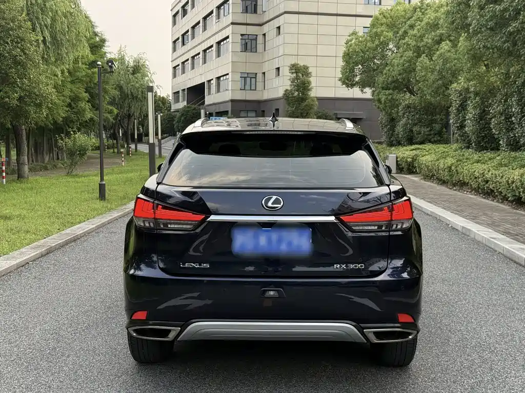 Lexus RX 2020 300 Elite V