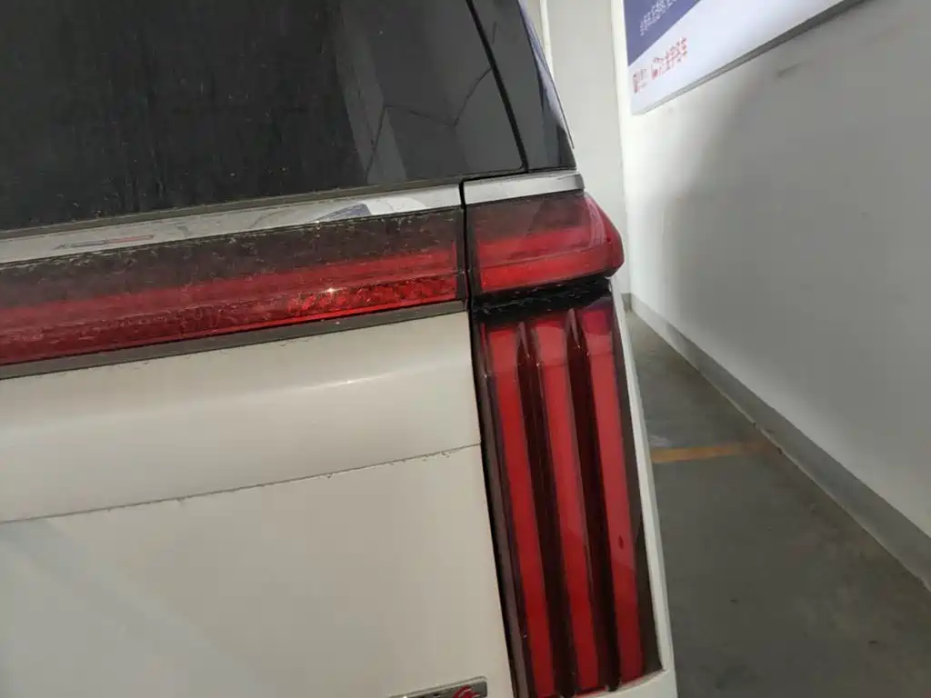 Wey Wey Gaoshan — миниатюра 8