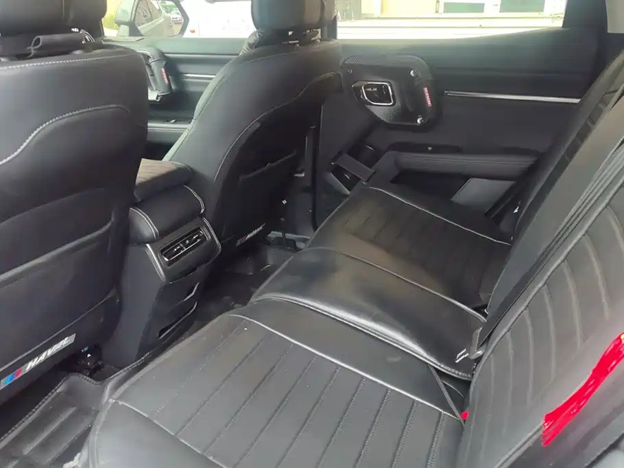 Haval Big Dog PLUS — миниатюра 11