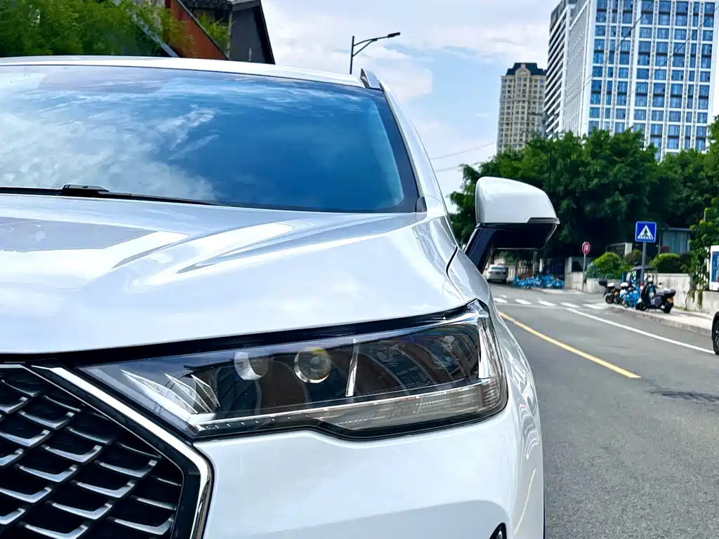 Haval H6 — миниатюра 5