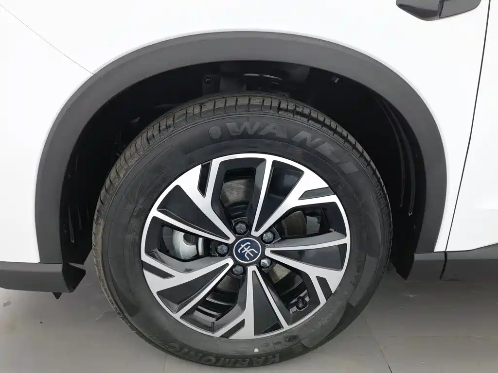 BYD Pro New Energy — миниатюра 17