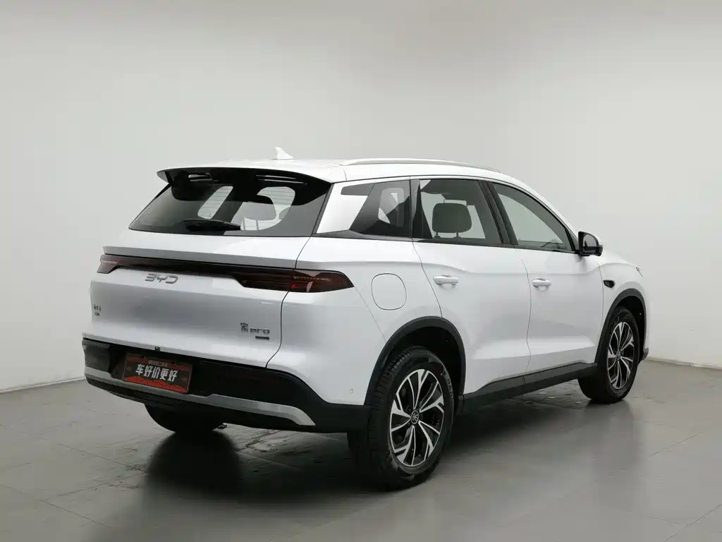 BYD Pro New Energy — миниатюра 2