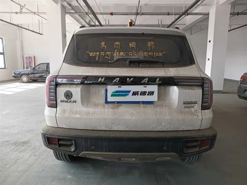 HAVAL BIG DOG