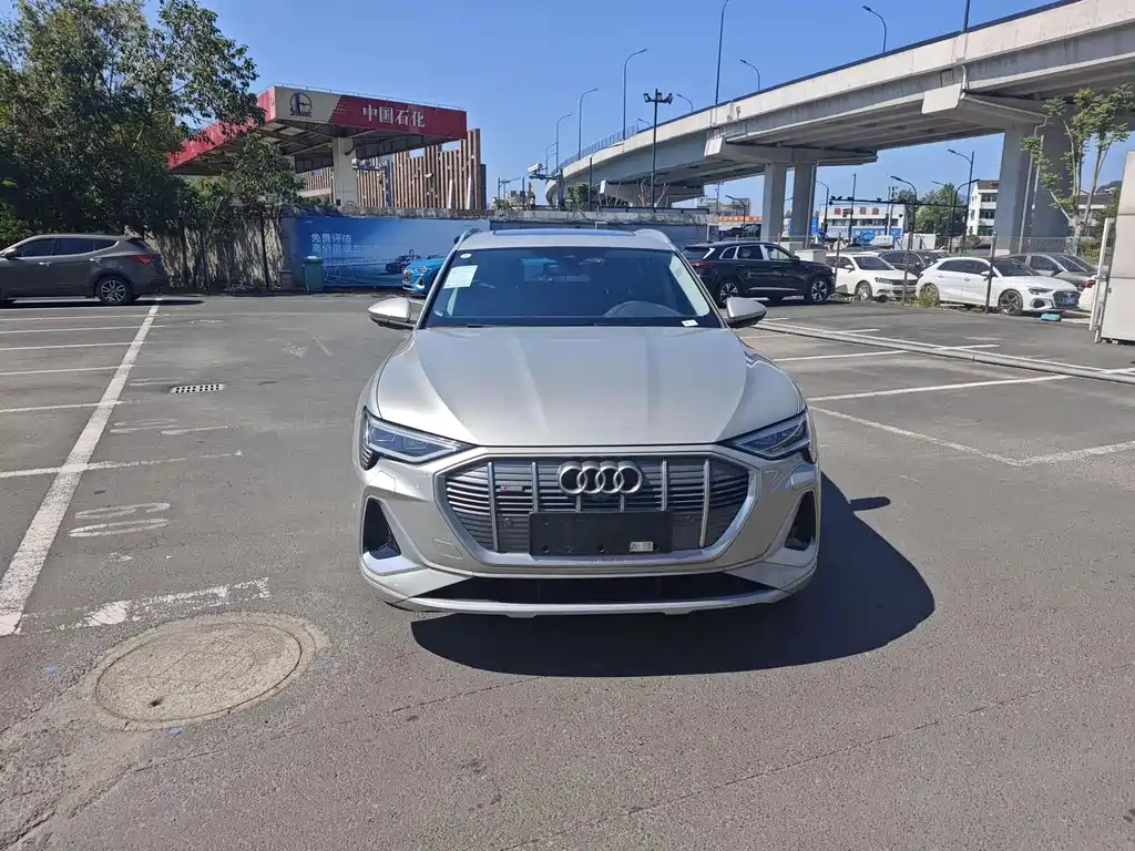 Audi e-tron — миниатюра 2