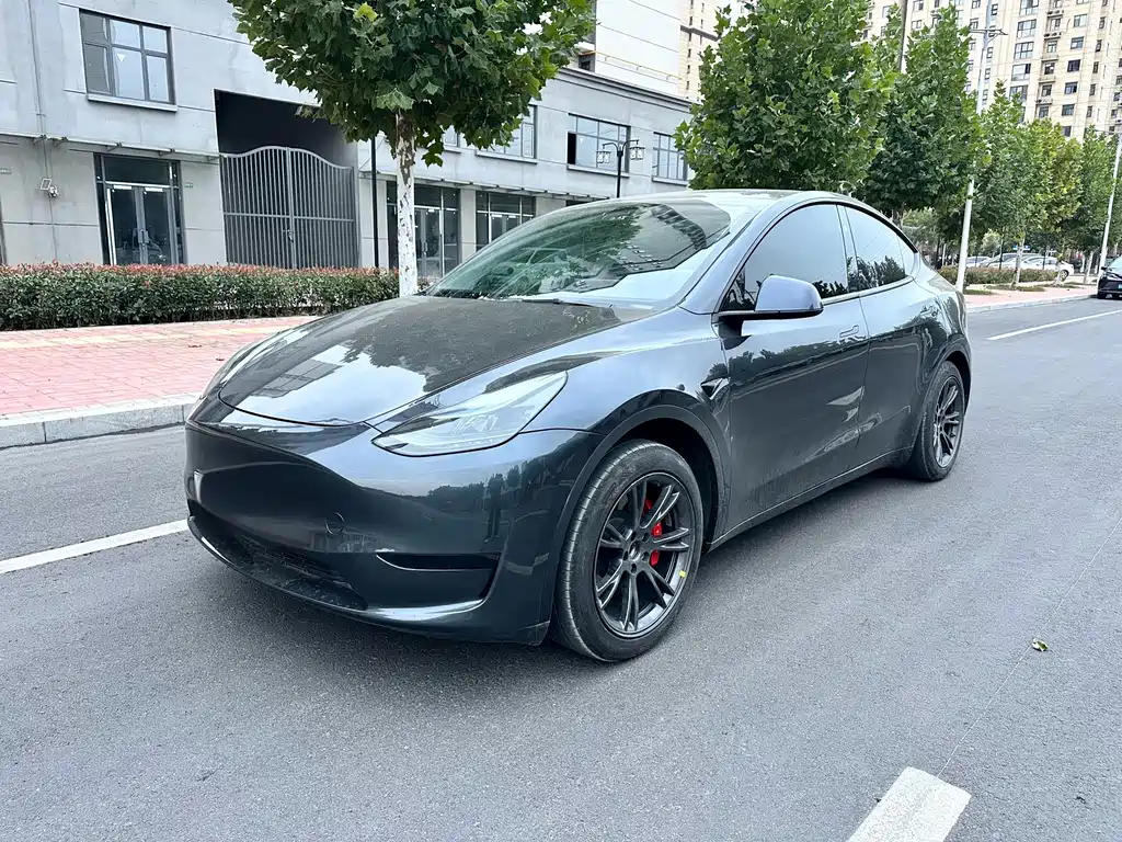 Tesla Model Y — миниатюра 2