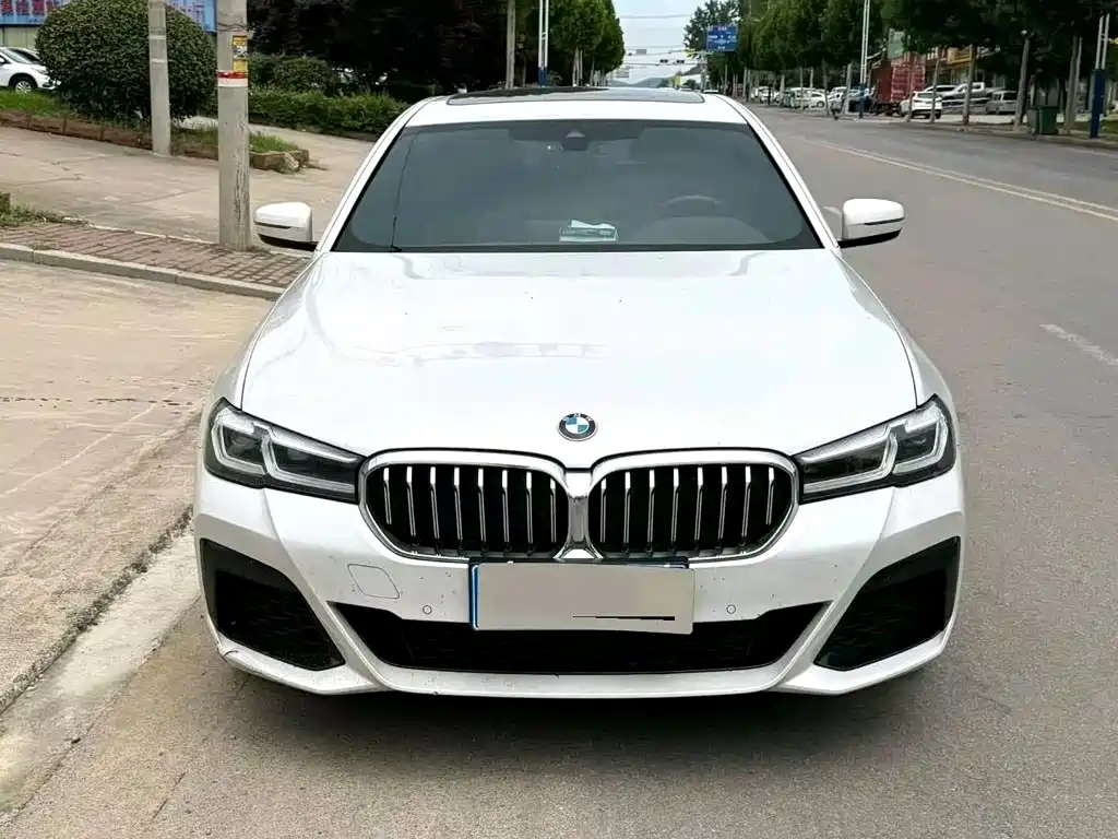 BMW 5 Series — миниатюра 2