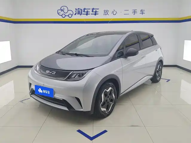 BYD Dolphin
