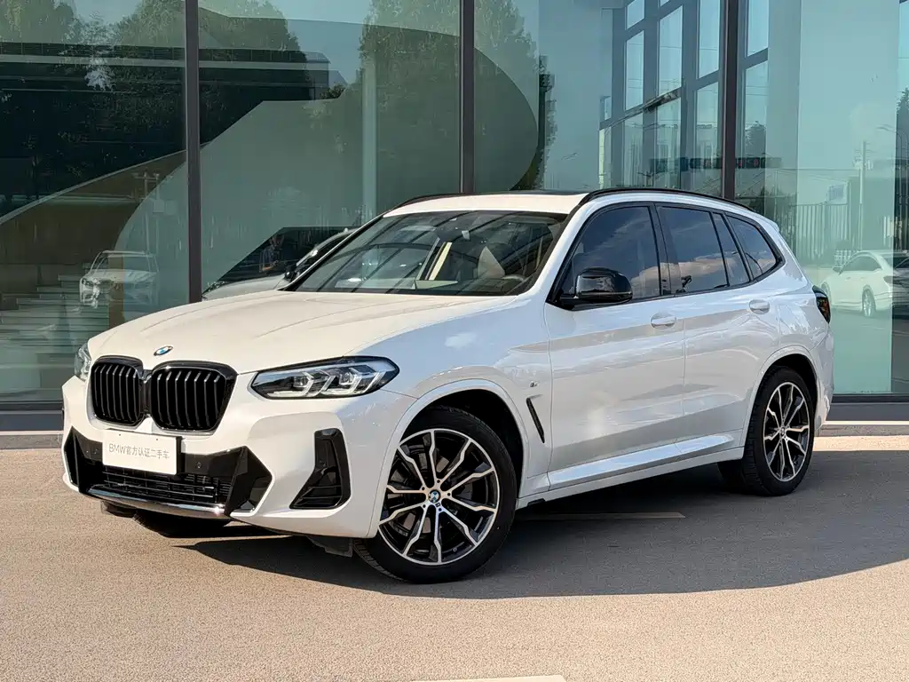 BMW X3 — миниатюра 2