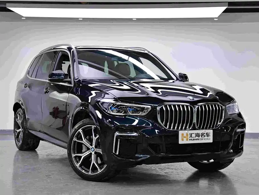 BMW X5 — миниатюра 3