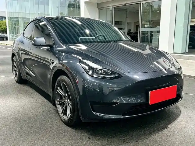 Tesla Model Y — миниатюра 3